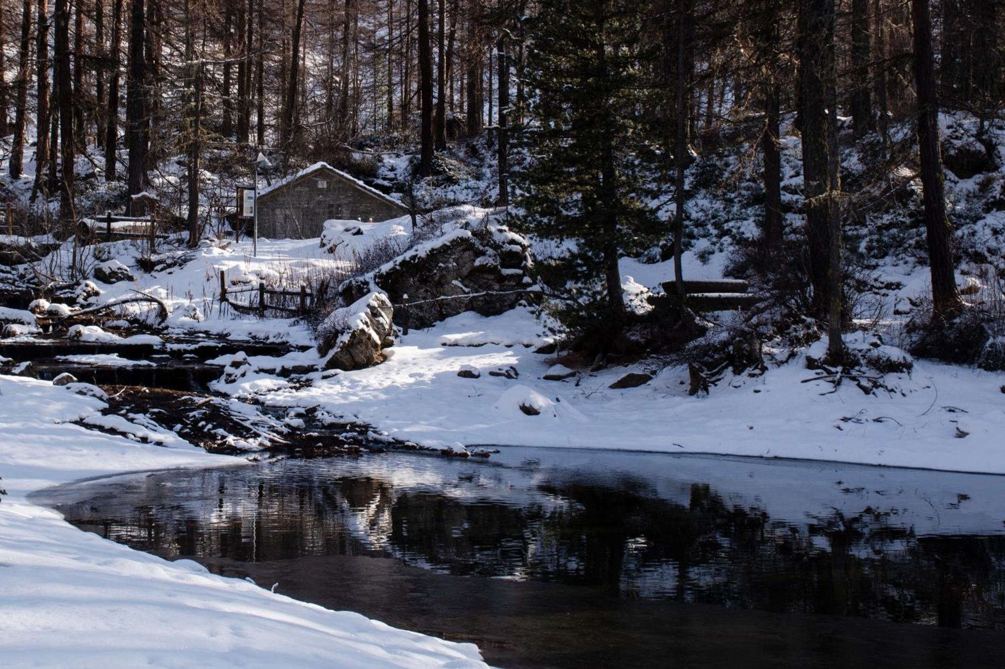 Case Gran Paradiso Rhemes Notre Dame Dış mekan fotoğraf